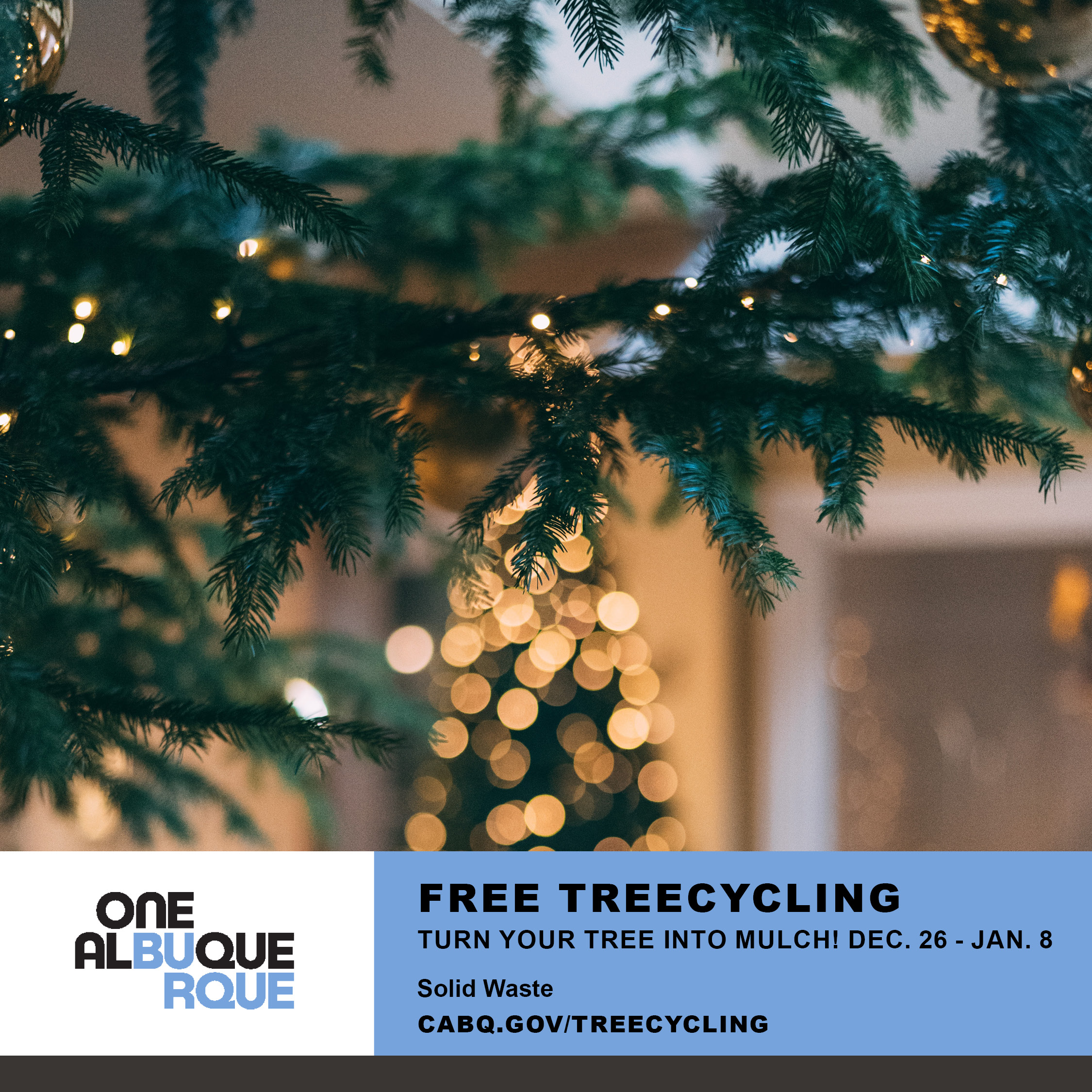 Old Christmas Tree, Old Christmas Tree, Come and Recycle it for Free